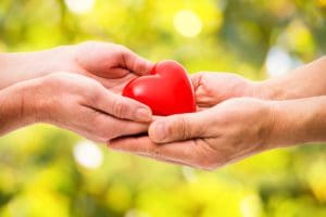 Red heart in human hands on green background
