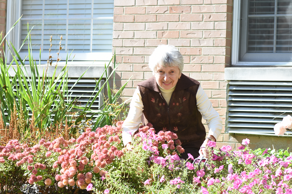 An elderly woman tends her garden of flowers in the sunshine.