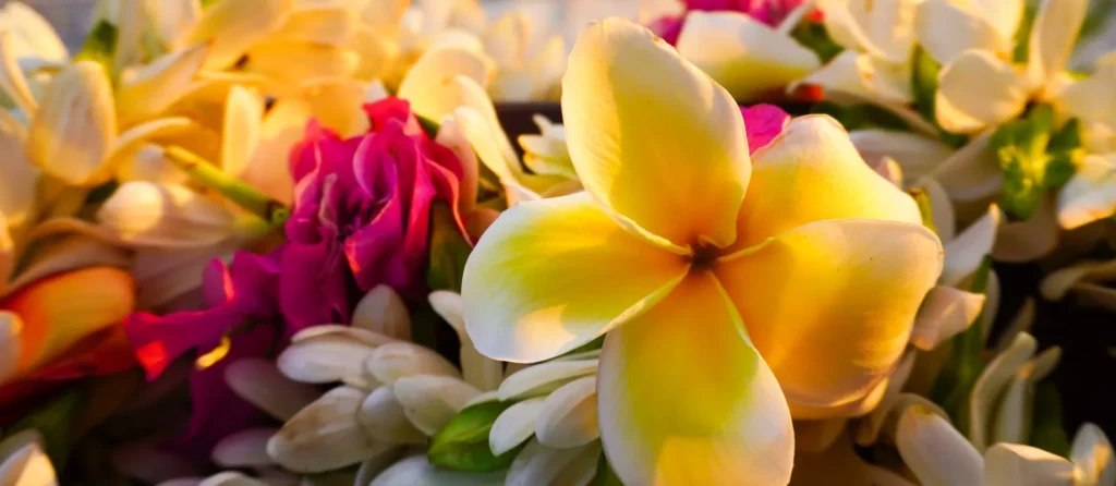 Close-up of a lei of tropical exotic flowers above a sandy beach.
