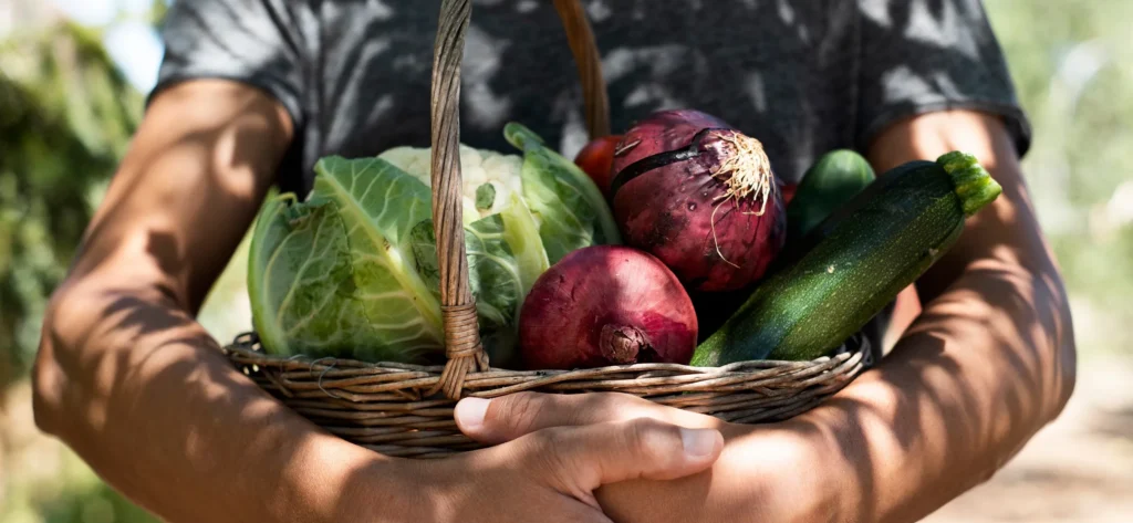 Person carrying basket of fresh vegetables