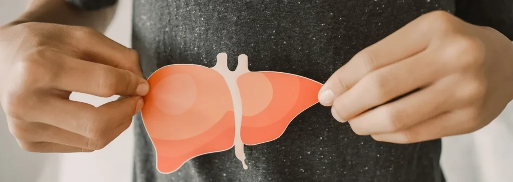 A person holds a cut-out illustration of a liver in front of their torso where their liver would be.